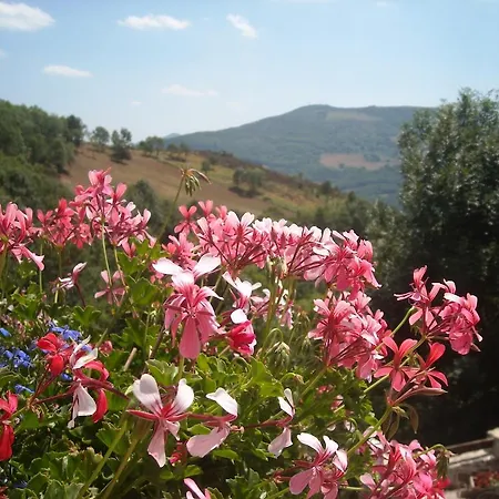 Holiday home Mas Taillet Maison De Xatart *